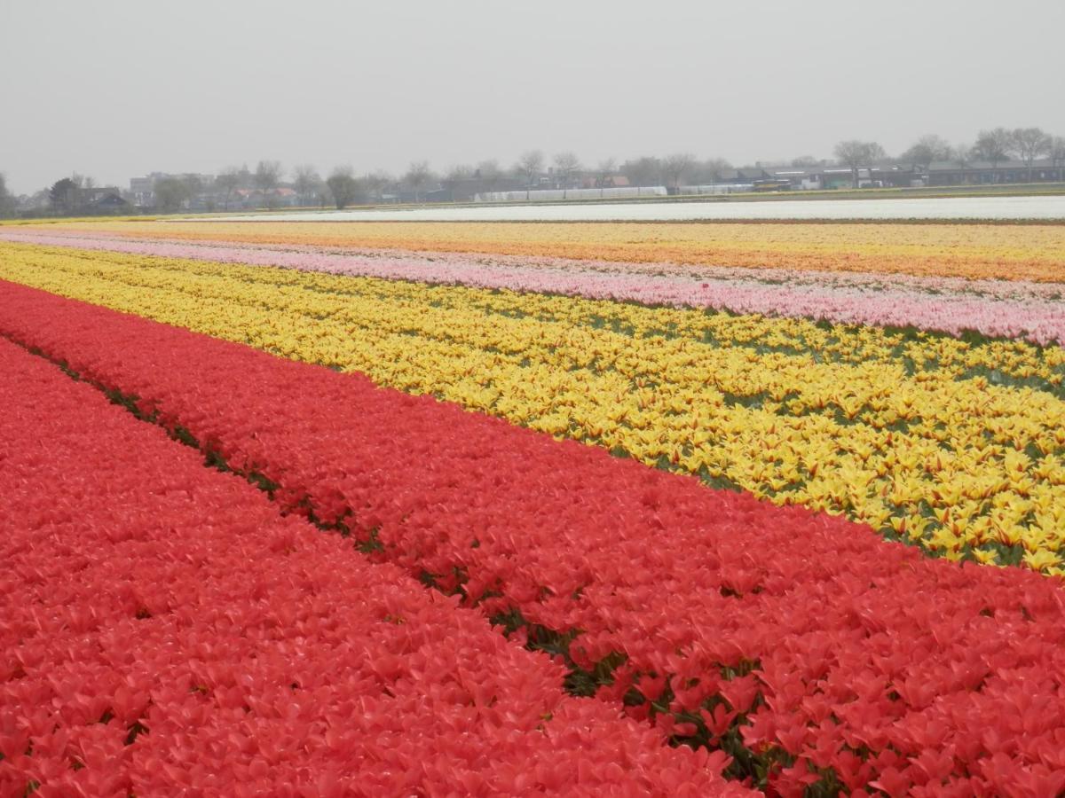Home For 2 Zuidoostbeemster Ngoại thất bức ảnh